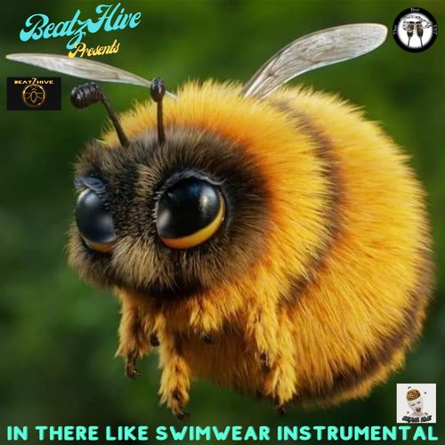 In There Like Swimwear Instrumental