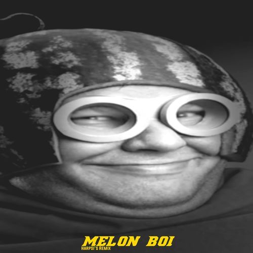 Melon Boi (feat. Swedish Gopnik) [Harpsi's Remix]