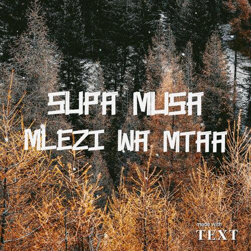 Lorraine & George - Supa Musa cover art