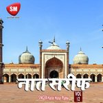 Naat Sharif Vol-12 (Urdu Islamic Naat)