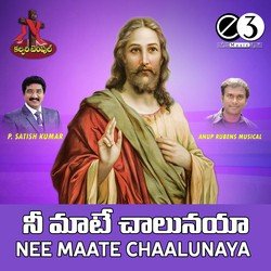 Nee Maate Chaalunaya