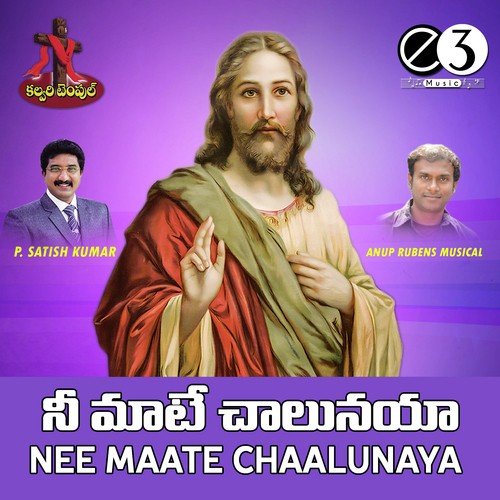 Nee Maate Chaalunaya