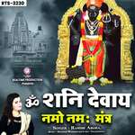 Om Shani Devay Namo Namah mantr artwork
