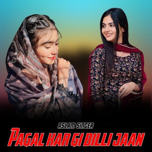 Pagal kar gi billi jaan