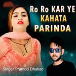 Ro Ro Kar Ye Kahata Parinda