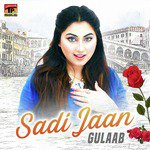 Sadi Jaan