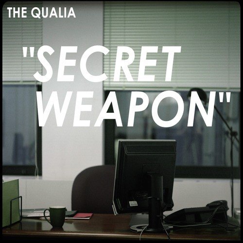 The Qualia