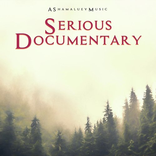 Serious Documentary_poster_image