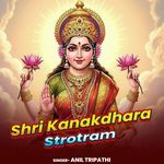 Shri Kanakdhara Strotram