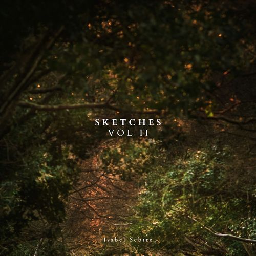 Transience cover art