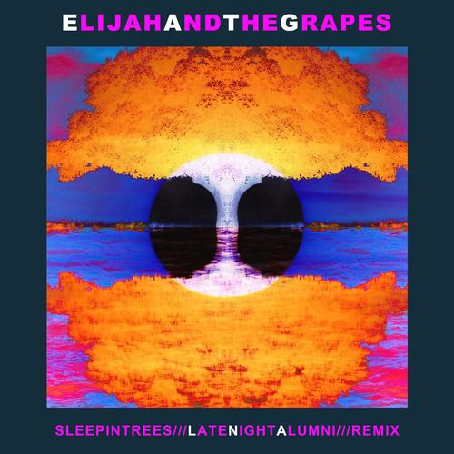 Sleep in Trees (Late Night Alumni Remixes)