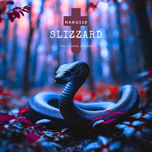 Slizzard The Lizard Wizard_poster_image