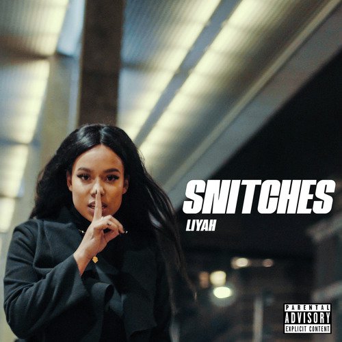 Snitches_poster_image