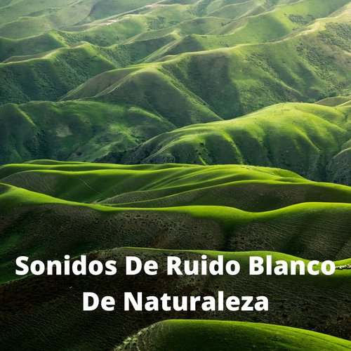 Ruido Blanco Para Ronquidos cover art