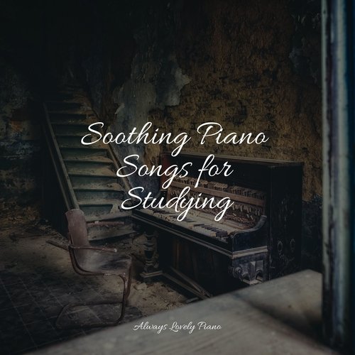 Soothing Piano Songs for Studying_poster_image