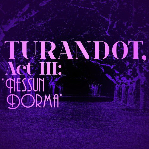 Turandot, Act Iii: "Nessun Dorma" - Single