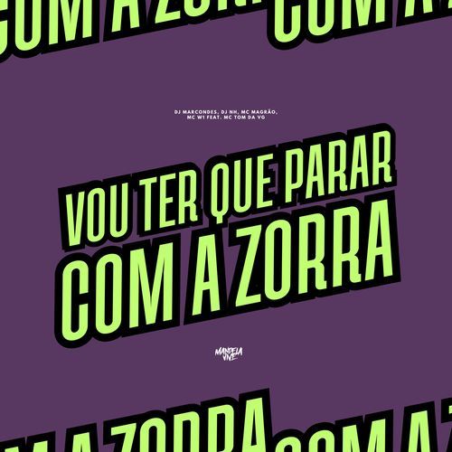 Vou Ter Que Parar Com a Zorra (feat. MC Tom da VG) cover art