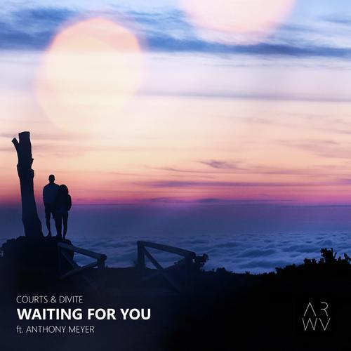 Waiting for You (feat. Anthony Meyer)_poster_image