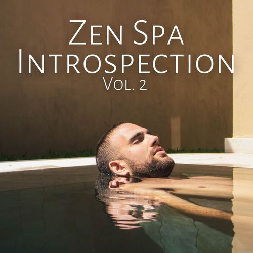 Zen Spa Introspection Vol. 2_poster_image