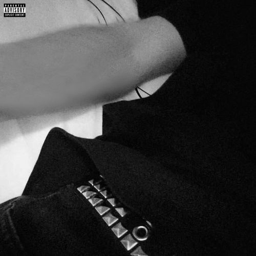 vlonethugger cover art