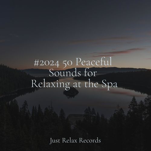 #2024 50 Peaceful Sounds for Relaxing at the Spa_poster_image