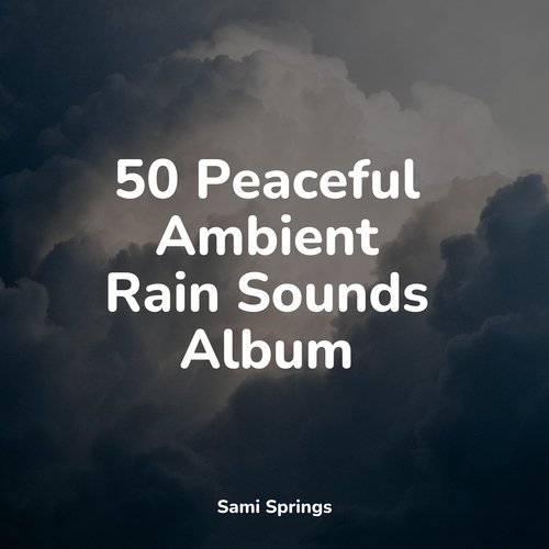 50 Amazing Rain and Nature Sounds