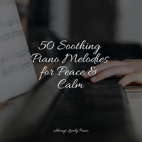 50 Soothing Piano Melodies for Peace & Calm