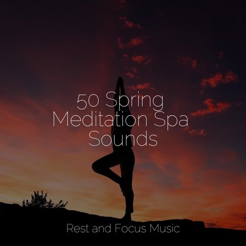 50 Spring Meditation Spa Sounds_poster_image