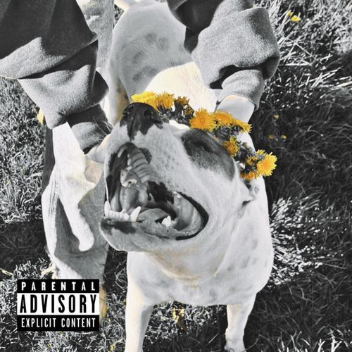 RUN! cover art