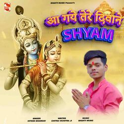 Aaye Hai Tere Deewane Shyam-PiYNYiN8Z3U