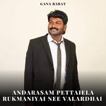 Andarasam Pettaiela Rukmaniyai Nee Valardhai