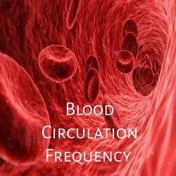 Blood Circulation Frequency Track 1-IF4HRxZRA1o