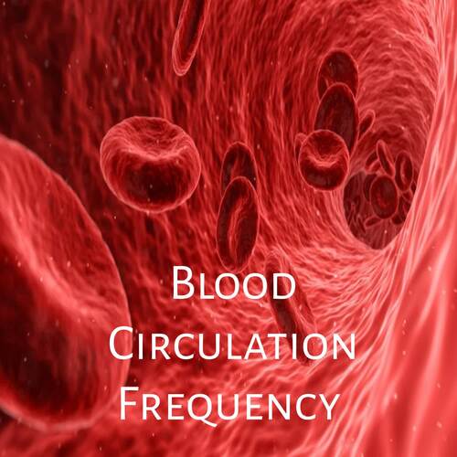 Blood Circulation Frequency