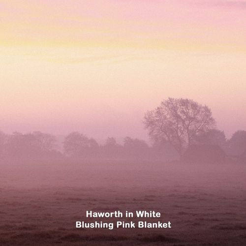 Blushing Pink Blanket cover art