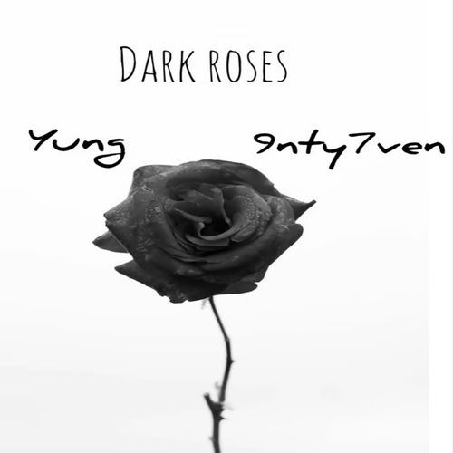 DarkRoses cover art