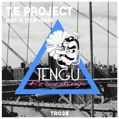 T.e Project
