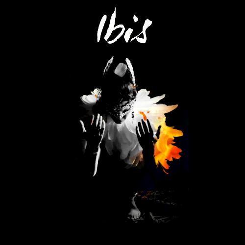 Ibis cover art