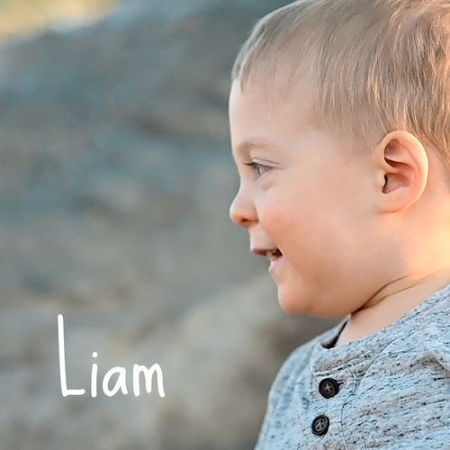 Liam cover art