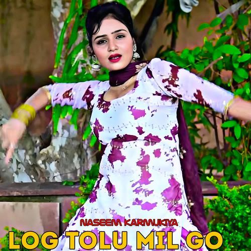 Log Tolu Mil Go