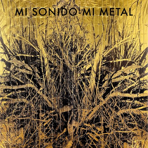 Mi Sonido, Mi Metal_poster_image