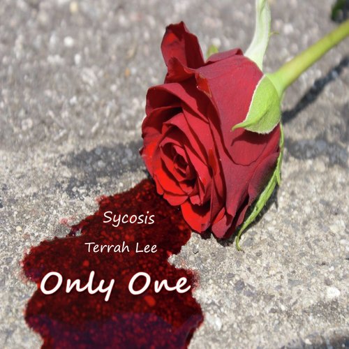 Only One (feat. Terrah Lee)_poster_image