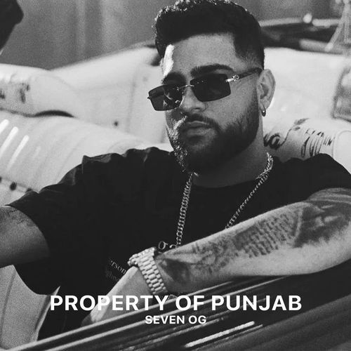 PROPERTY OF PUNJAB