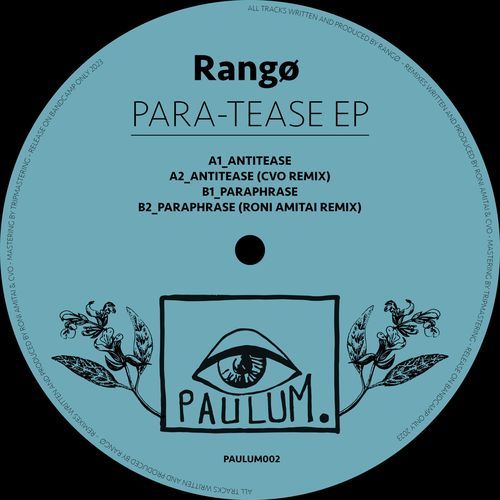 Paraphrase (Roni Amitai Remix) cover art