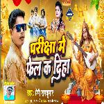 Pariksha Me Phail K Diha