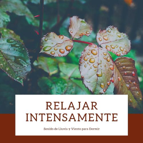 Sonido de Lluvia cover art