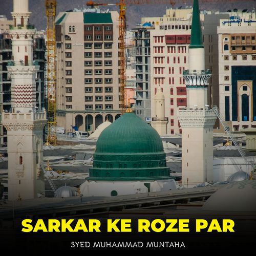 Sarkar Ke Roze Par