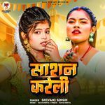 Sashan Kareli artwork