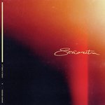 Señorita_poster_image