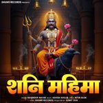Shani Mahimaa