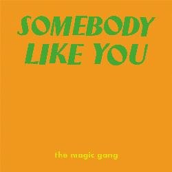 Somebody Like You